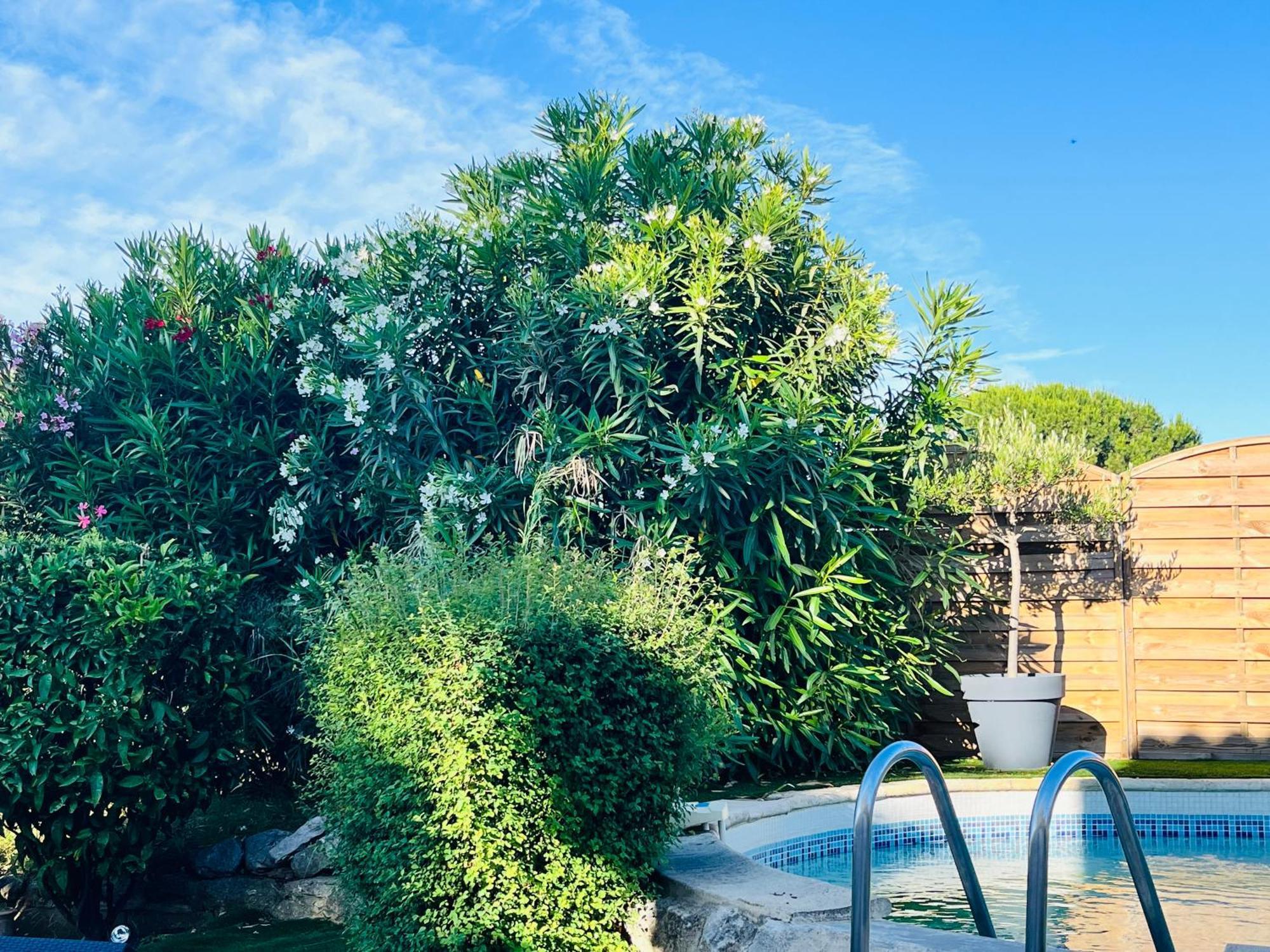 Piscine Cosy, 3 Chambres, 3 Sdb, Havre De Paix A 10 Min Des Plages Mauguio Exterior foto